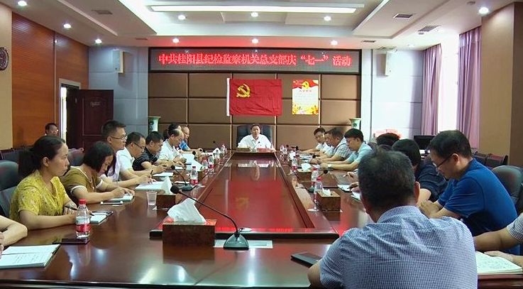 庆七一：县纪检监察机关总支部重温入党誓词