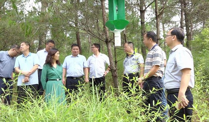 市政协来我县视察松材线虫防控工作