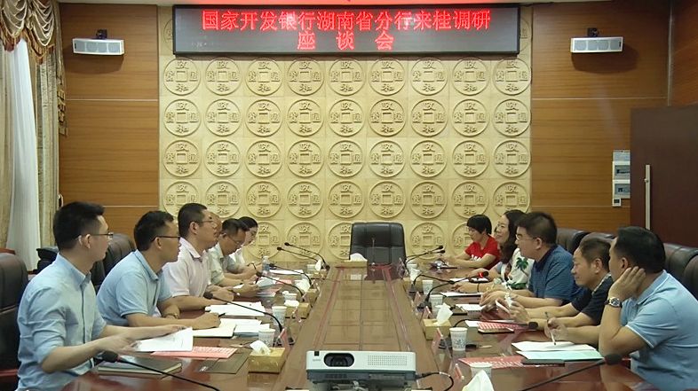 国家开发银行湖南省分行来我县调研座谈