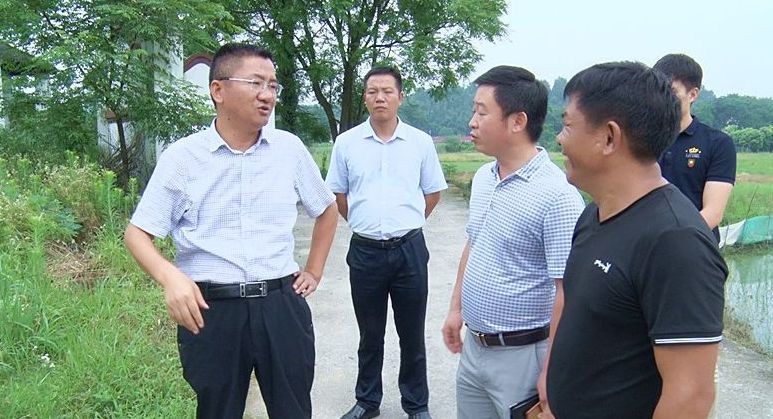黄力到正和镇调研指导“三大攻坚”行动