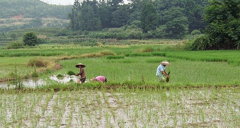太和镇：充分发挥民营企业优势 助力脱贫攻坚