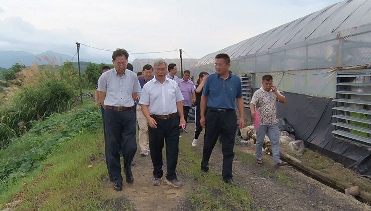 省农业农村厅来我县调研农业高质量发展工作情况