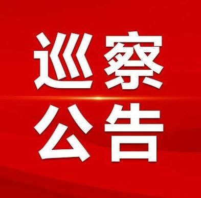 中共十二届桂阳县委第八轮巡察公告