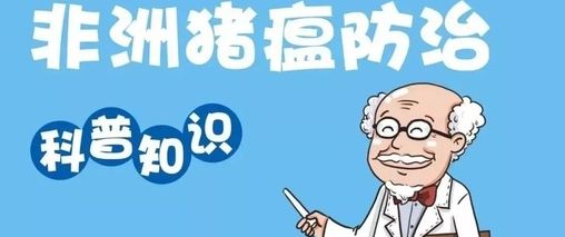 非洲猪瘟防控知识问答