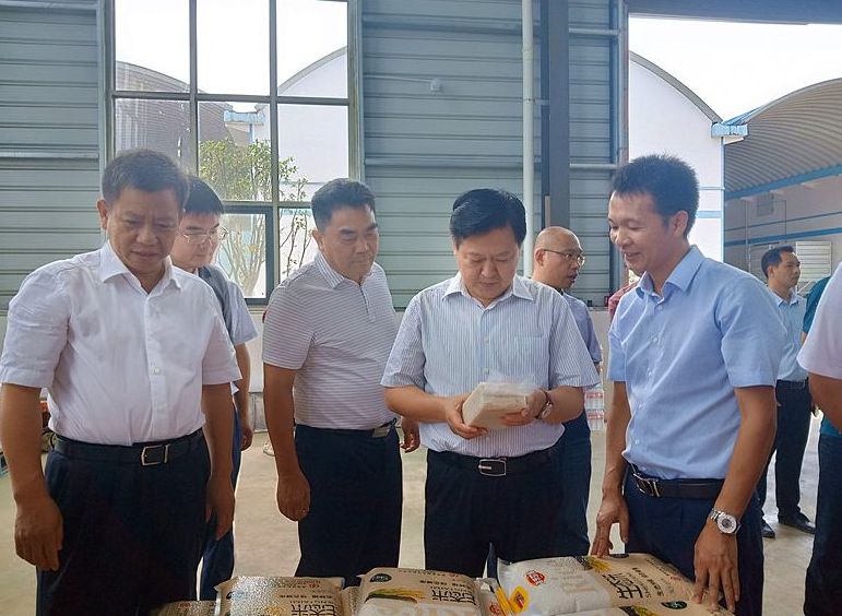 刘志仁来我县调研有关工作