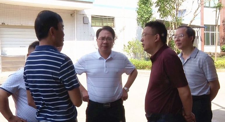 副市长陈荣伟到我县调研农业农村企业发展情况