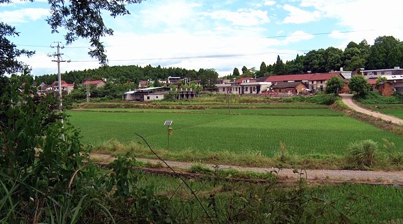 仁义镇银河村：产业扶贫引领贫困户脱贫摘帽