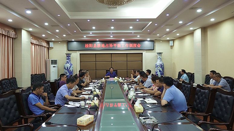 朱阳辉调度耕地占补平衡工作 