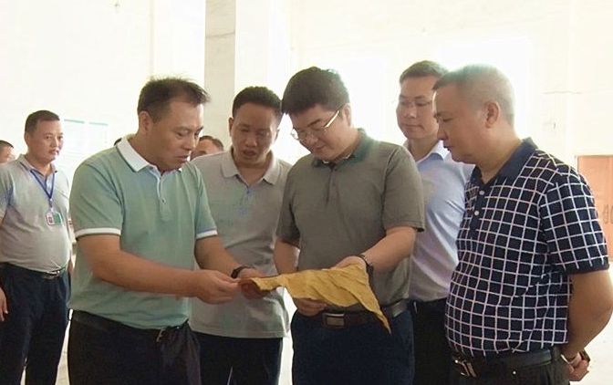 县领导调研烤烟收购工作