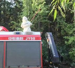 他们捅了桂阳文化园的马蜂窝 然后……