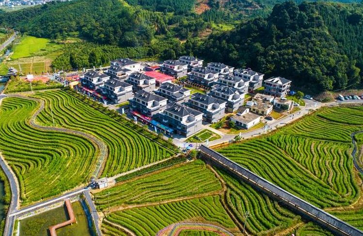 【乡村振兴】党建引领美丽乡村建设