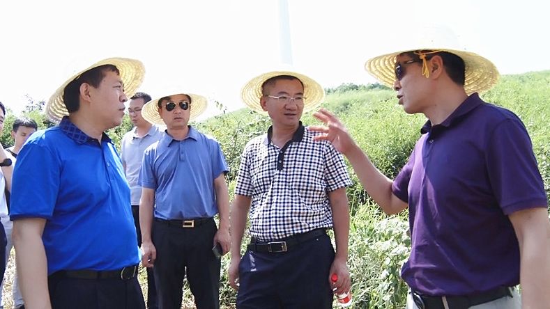 省委调研组来我县调研特色瓜果产业发展情况