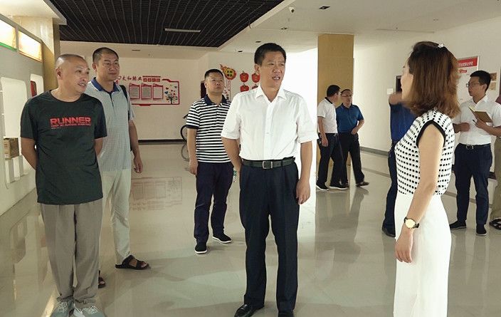 彭生智调研重点项目建设：落实有力措施完善要素保障 稳步推进项目建成达产
