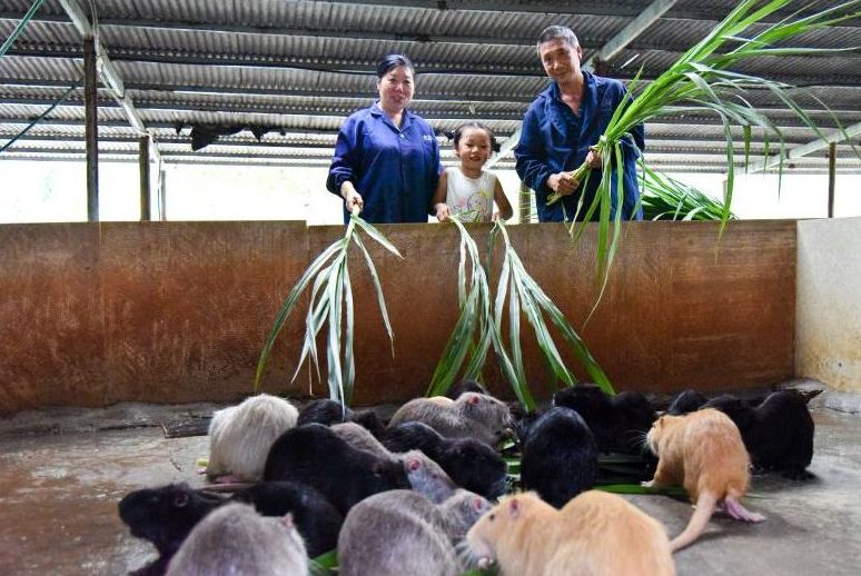 这种动物好养还致富，你不一定见过！