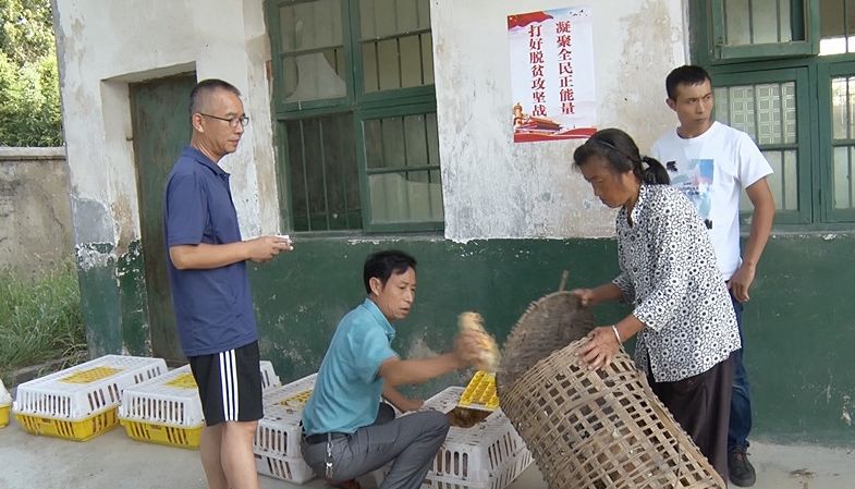 荷叶镇水边村：找准定位  走出产业发展路