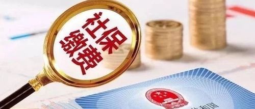 值得收藏！手把手教您使用“湘税社保APP”