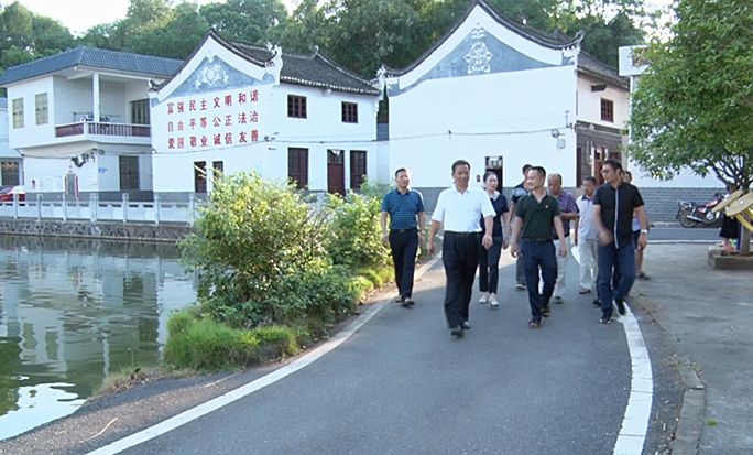 彭生智调研农村人居环境整治工作：人性化、自然化、生态化 做好农村人居环境整治工作