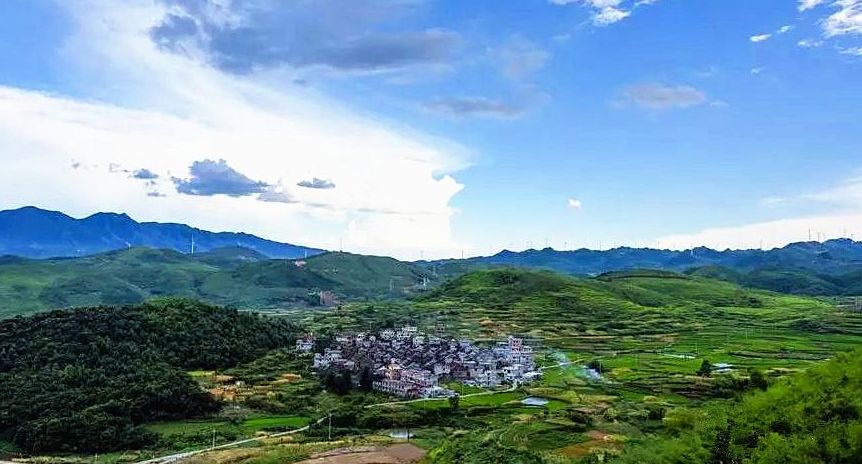 荷叶镇高山村：因地制宜发展生态农业 助推实施“乡村振兴”战略