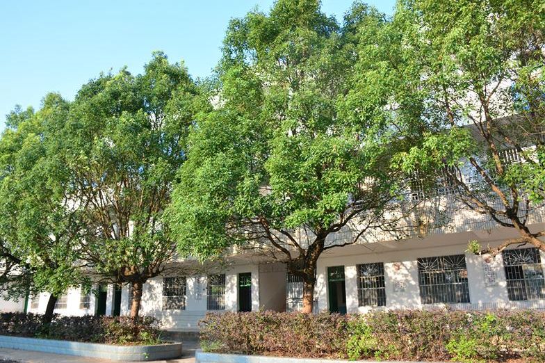 苦志育才慈善学校开学准备工作就绪即将正式开学