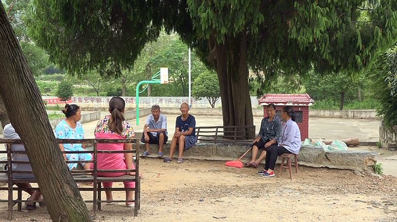 雷坪镇株木村：“三大”活动 助推强村富民