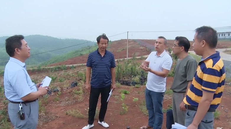 我县启动“工作落实年”行动暨重点建设项目推进情况调研