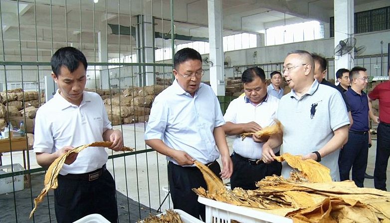 陈荣伟来我县调研烤烟收购、农村人居环境整治等工作