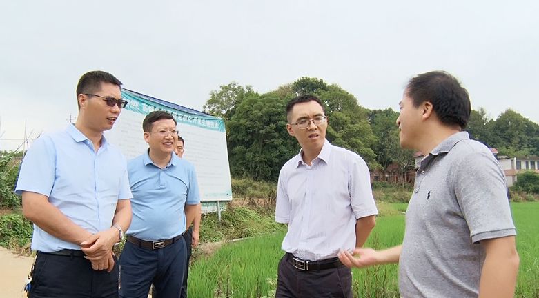 省农业农村厅来我县调研指导秋粮生产工作