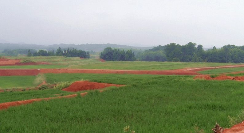 坚持绿色发展，为经济发展保驾护航！