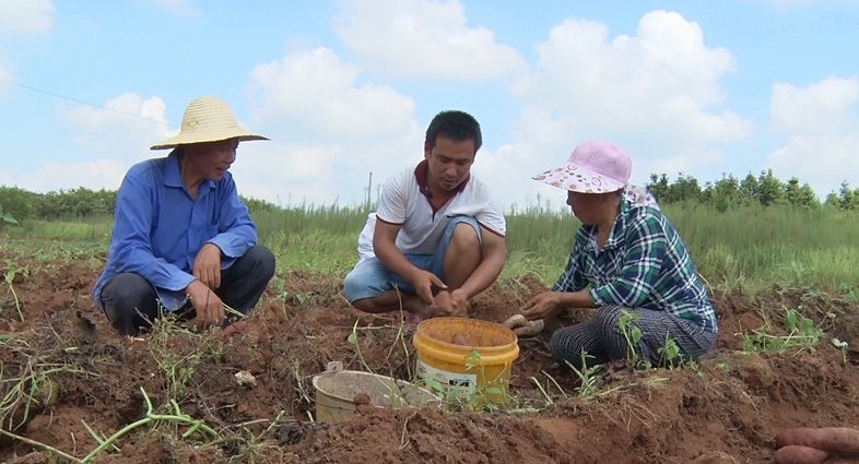 85后青年返乡创业 让“荒地”变身“致富地”