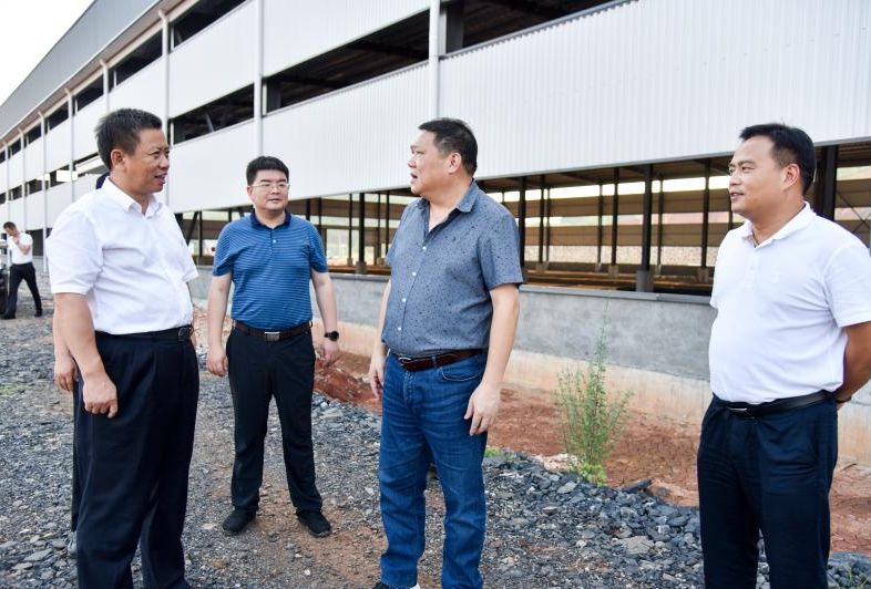 彭生智专题调研安全生产工作：强化安全意识 注重事前监管 确保安全生产形势平稳