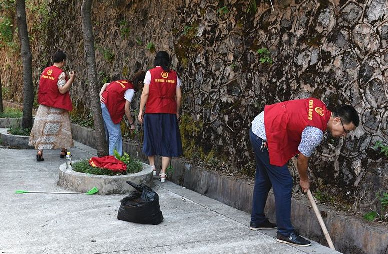 开展志愿清扫活动，服务“四创”工作