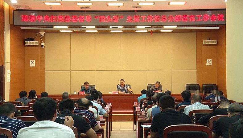 我县召开迎接中央扫黑除恶督导“回头看”主要工作任务分解落实工作会议