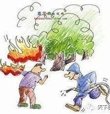 森林防火全攻略