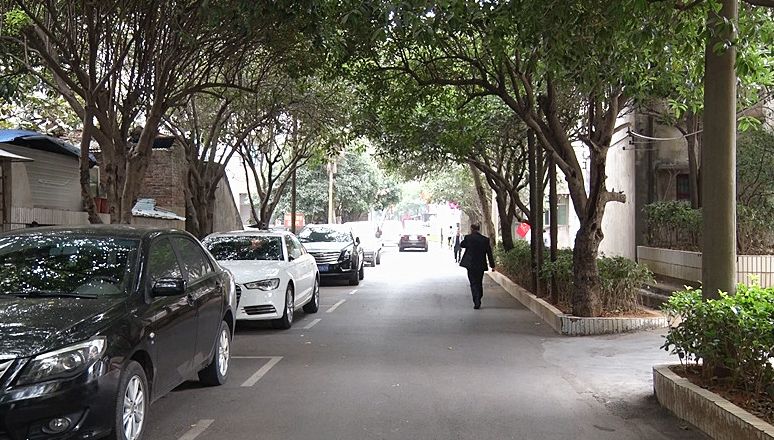 【创文进行时】老县委会住宅小区旧貌换新颜